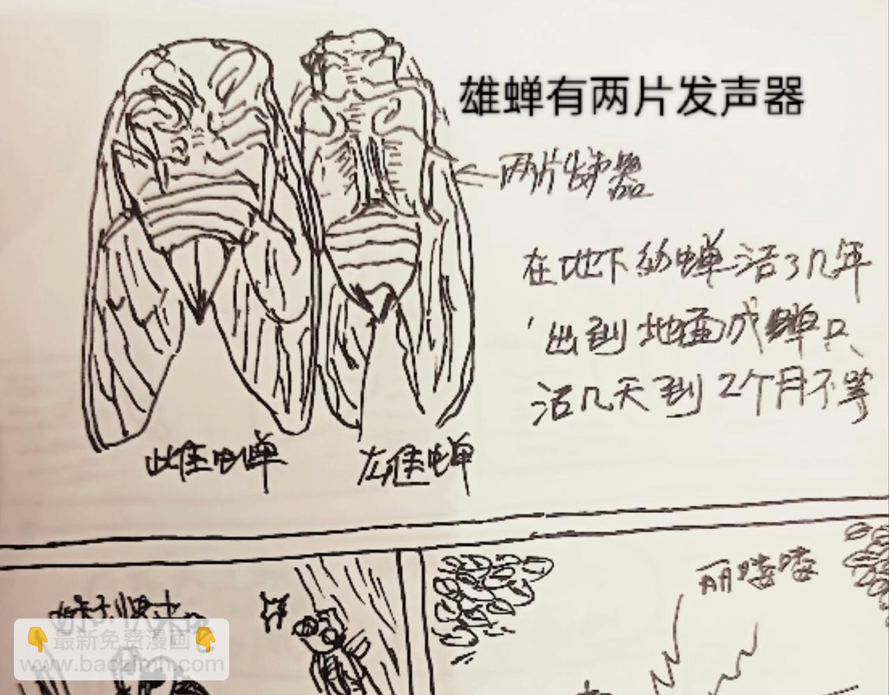 发声器就是求爱利器-第13话