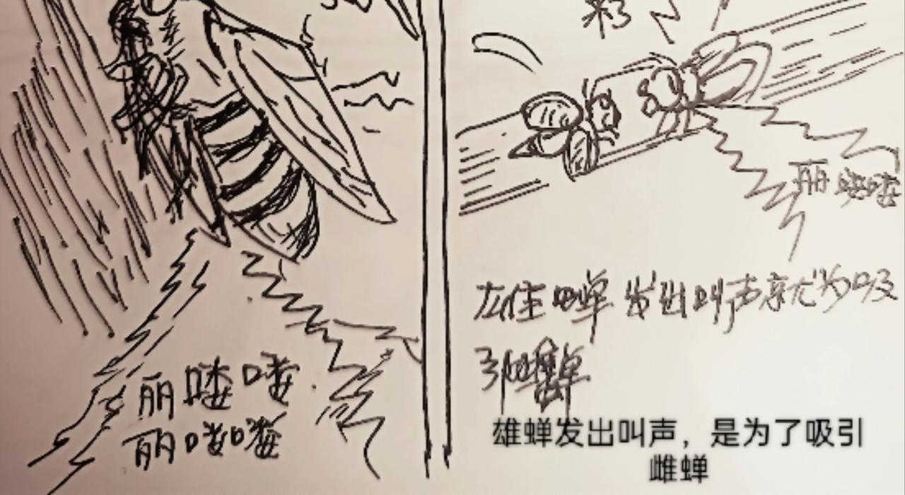 发声器就是求爱利器-第13话