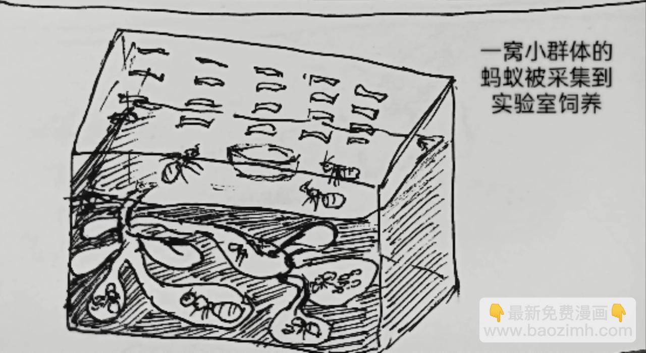 蚂蚁被送到月球-第25话