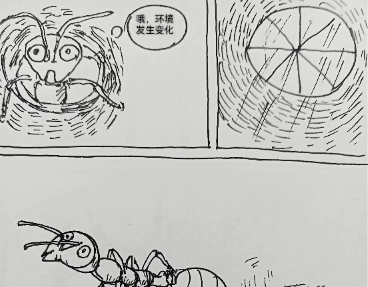 蚂蚁被送到月球-第25话