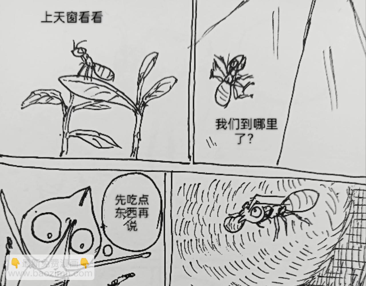 蚂蚁被送到月球-第25话