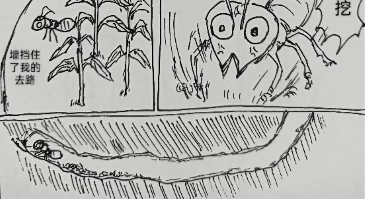 蚂蚁被送到月球-第25话