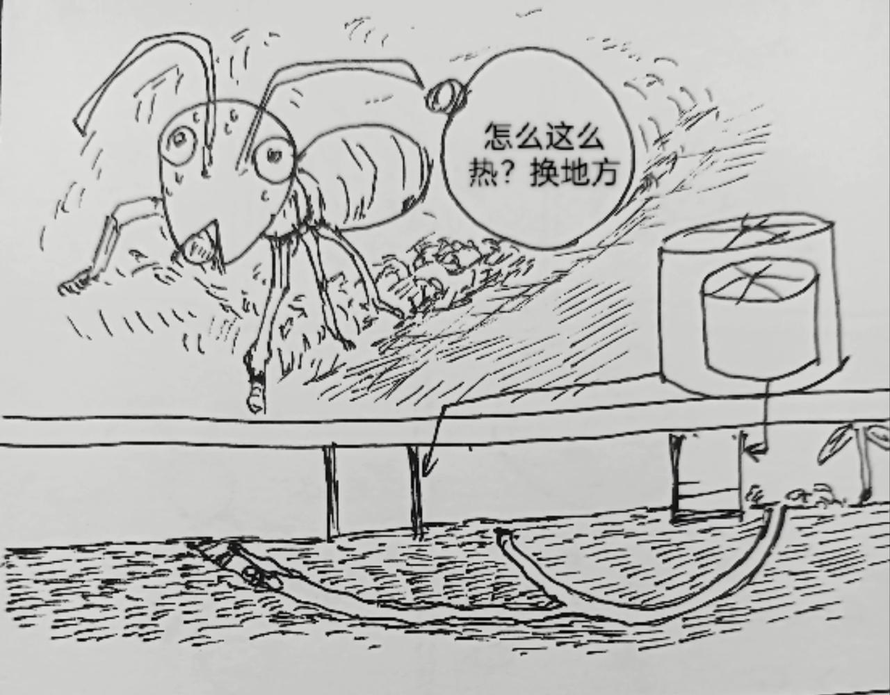 蚂蚁被送到月球-第25话