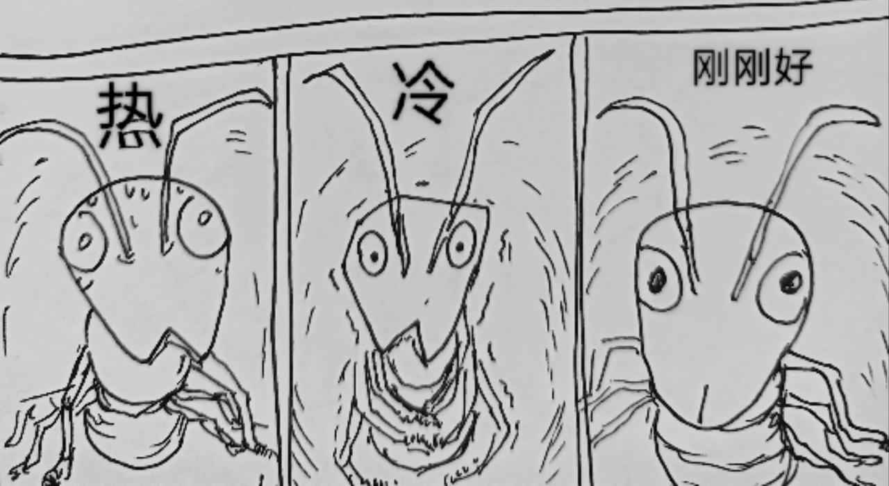 蚂蚁被送到月球-第25话