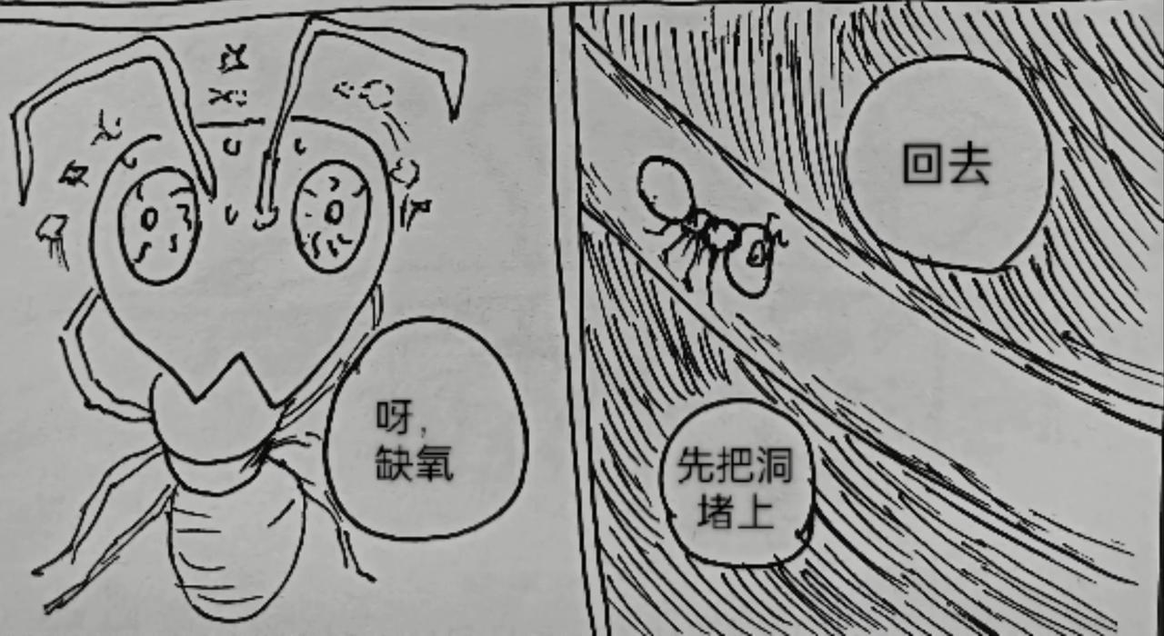 蚂蚁被送到月球-第25话