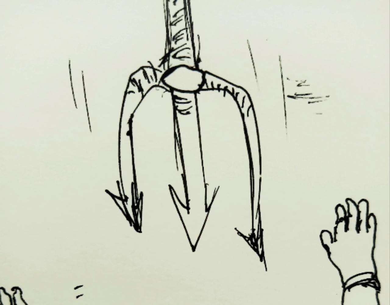 树的思考-第9话