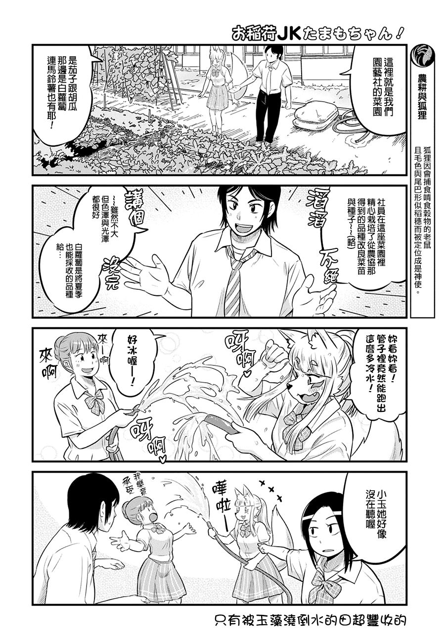 稻荷JK玉藻美眉！ - 13話 - 2