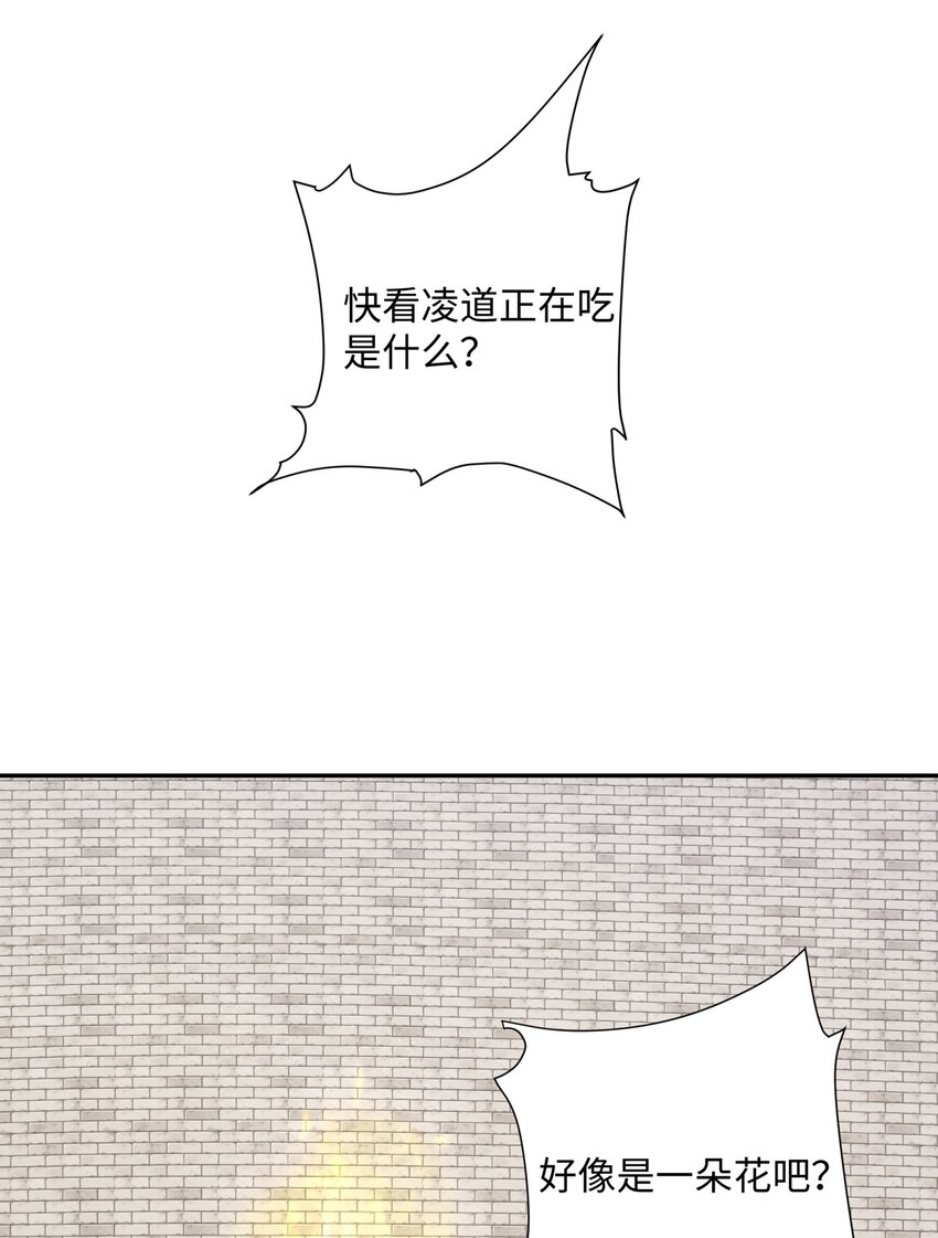 第34话 凌道临时突破(1/2)-第35话