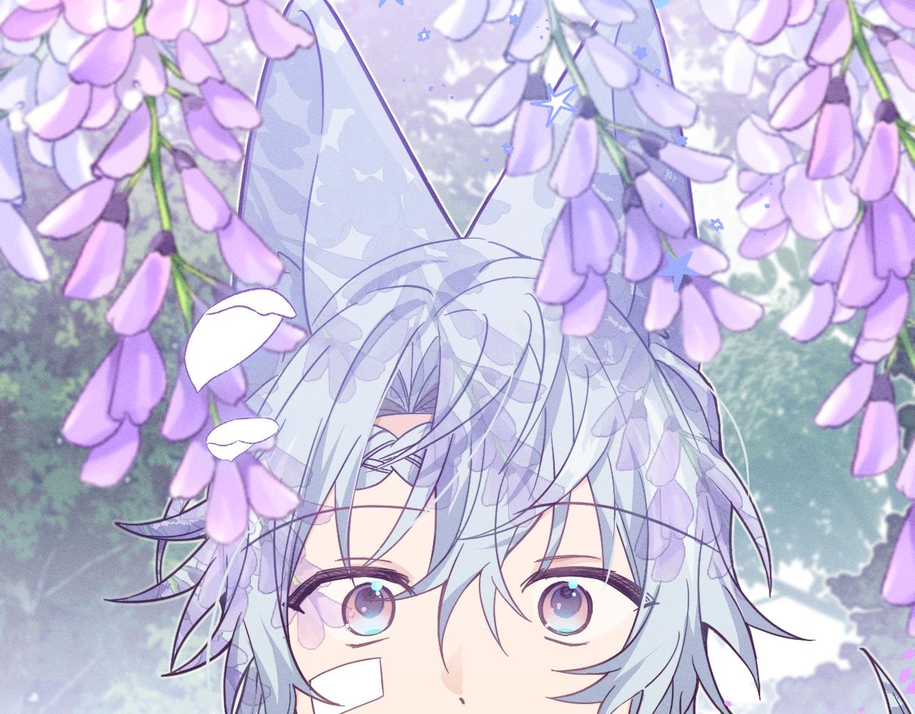 第76话 白狼又有了家(1/5)-第85话