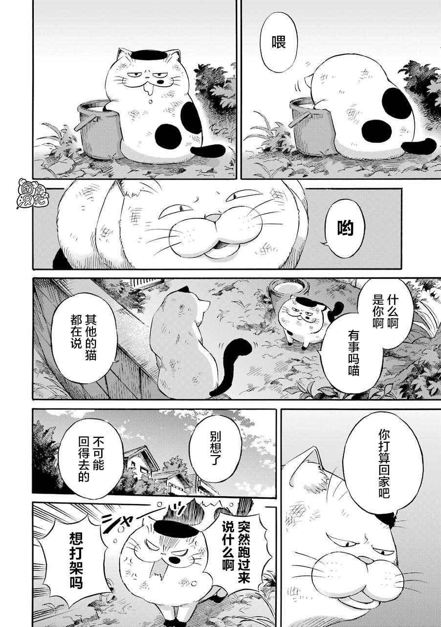 大叔與貓 - 第56.1話 - 2