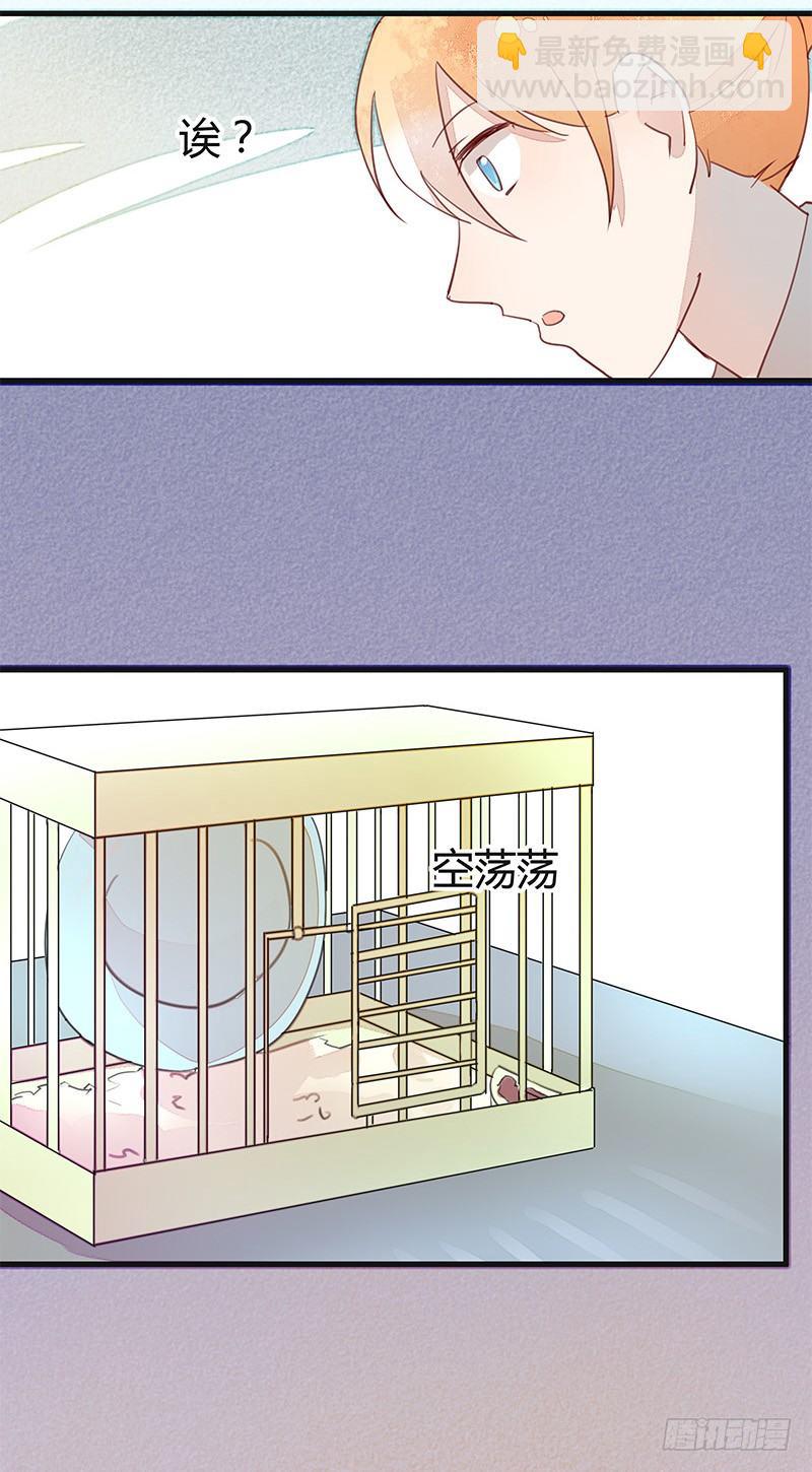 小灰灰&hellip;&hellip;丢了？-第13话