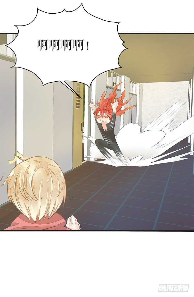 小灰灰竟然是！-第23话