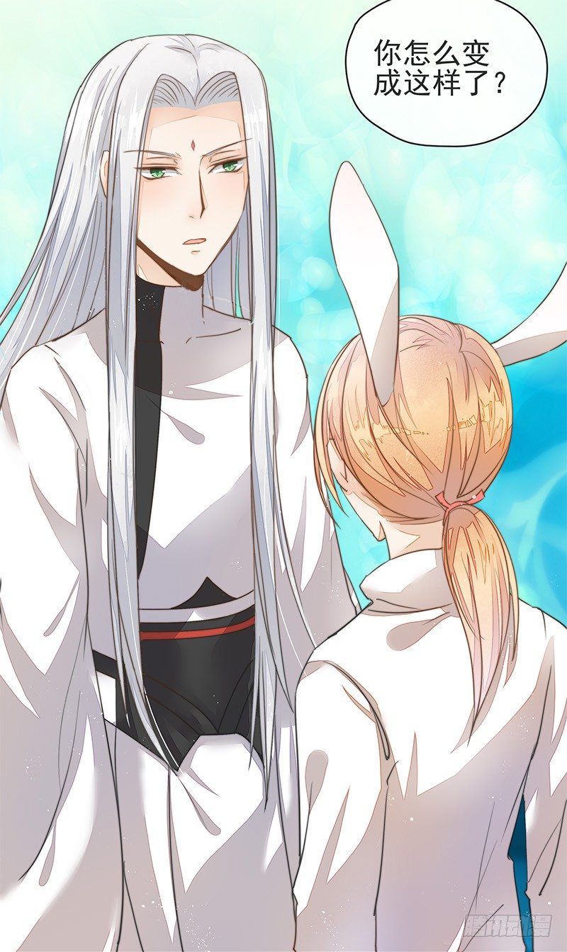 长老会，一个神奇的地方-第29话