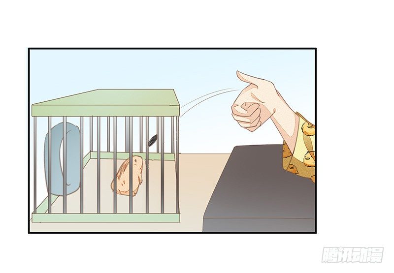 阿杜的消失-第37话