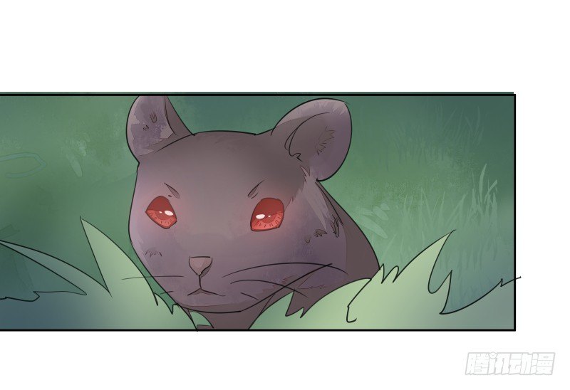 月下美人-第61话