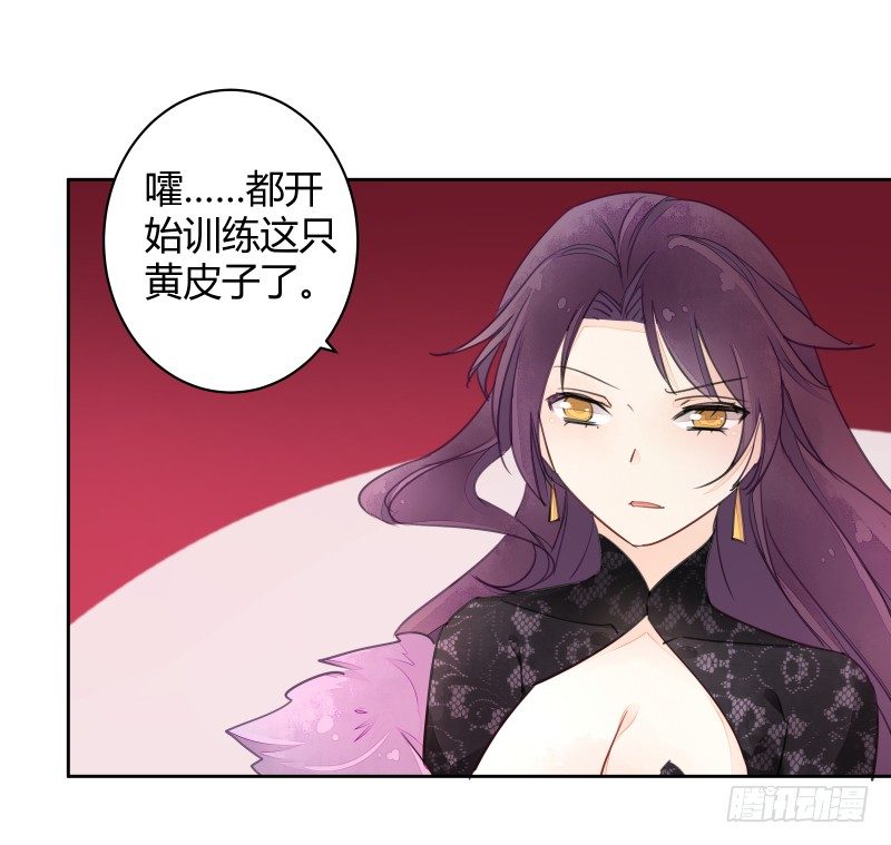 月下美人-第61话