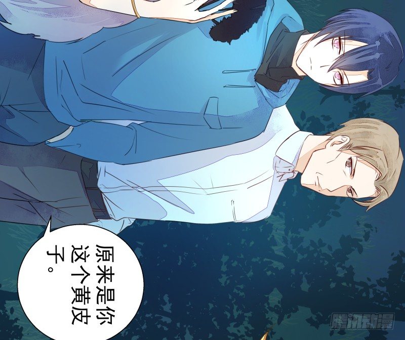 进攻！(1/2)-第65话