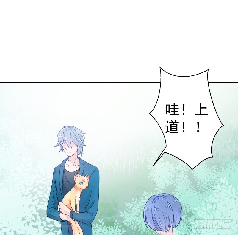 商议(1/2)-第73话