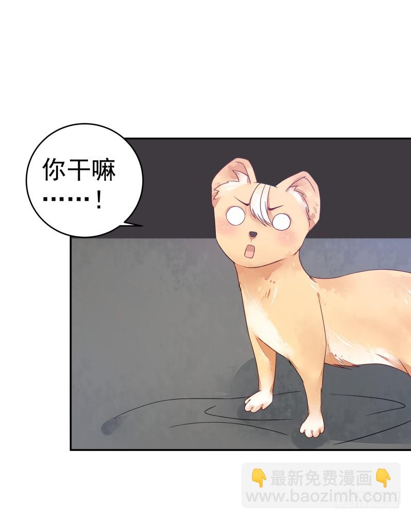 商议(1/2)-第73话