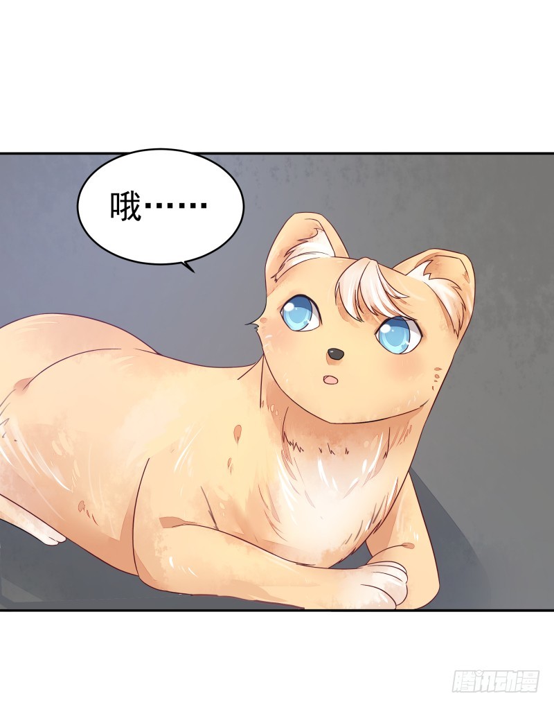 商议(1/2)-第73话