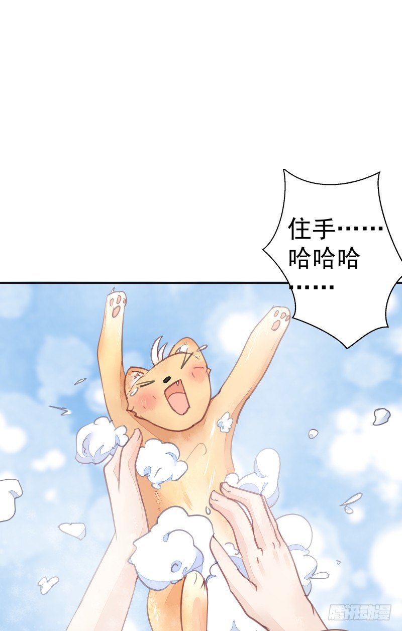 商议(1/2)-第73话