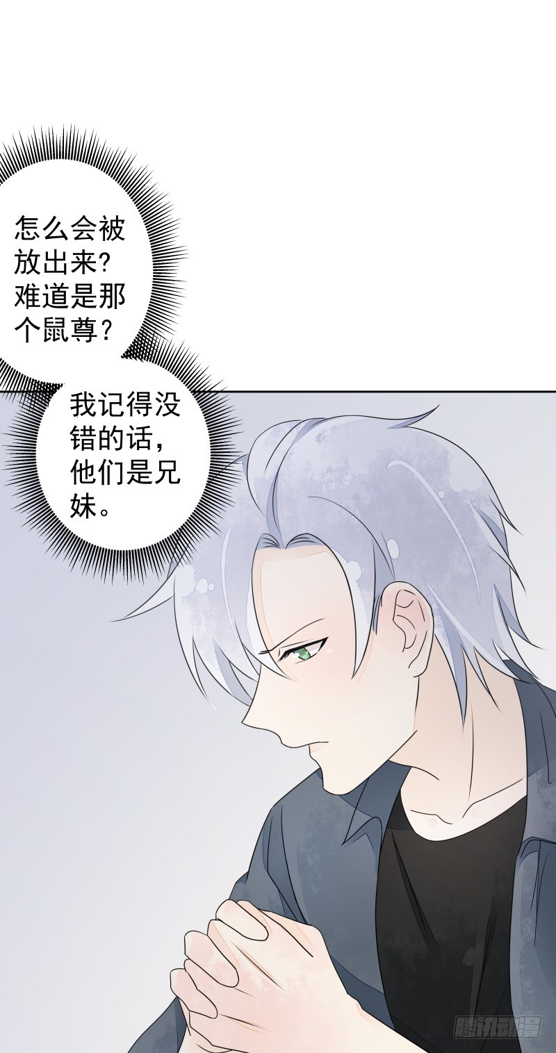 银色毒药，鼠翼-第75话