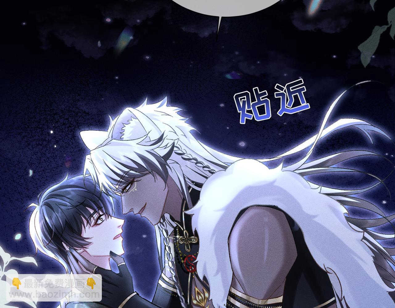 第12话：树林夜会(1/4)-第13话