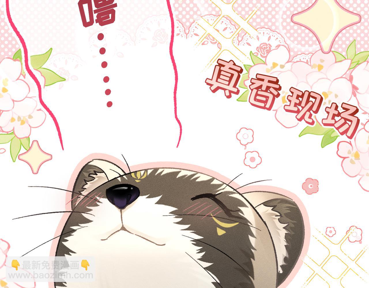 第16话：绝育更健康(1/4)-第19话