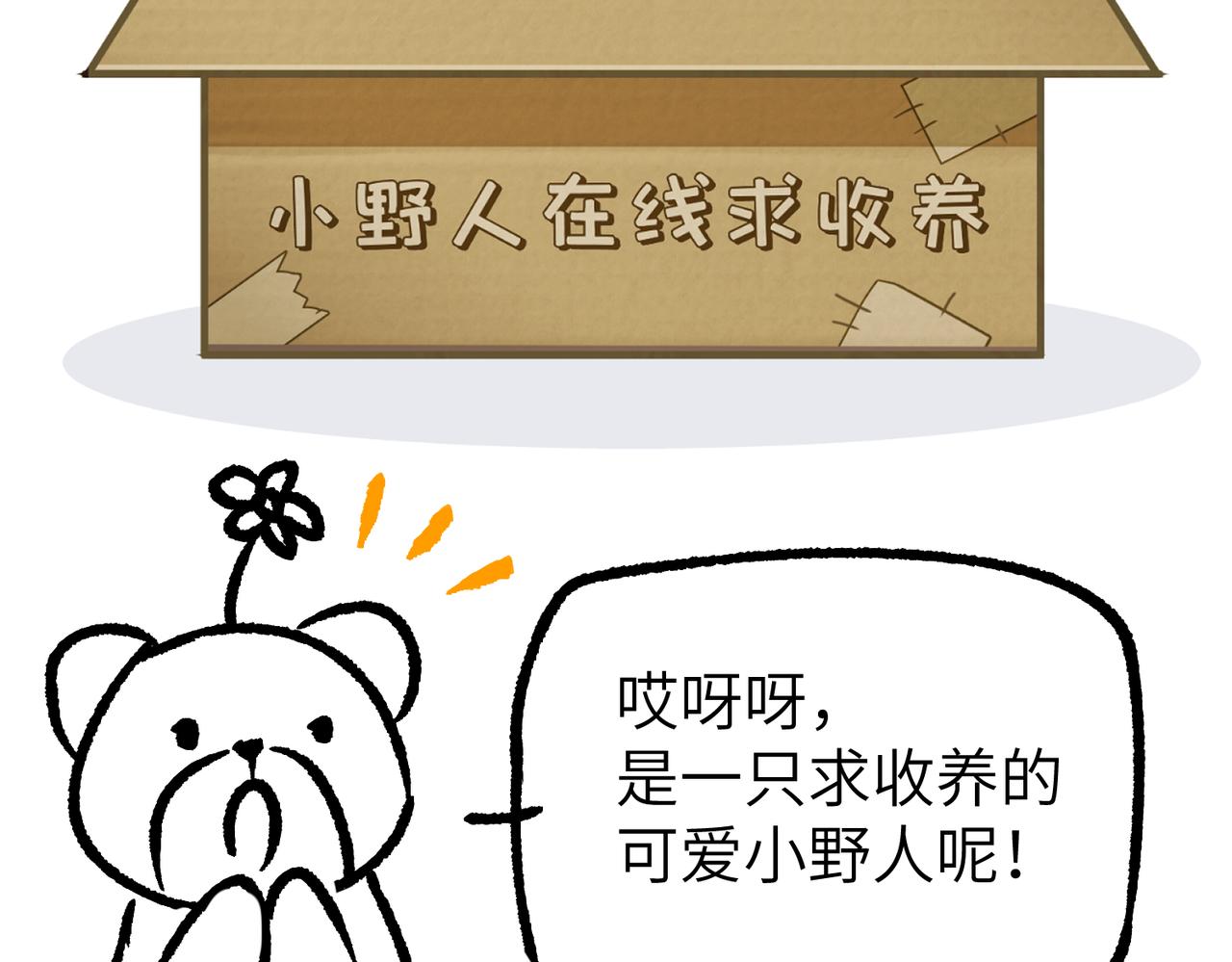 新作来啦-第45话