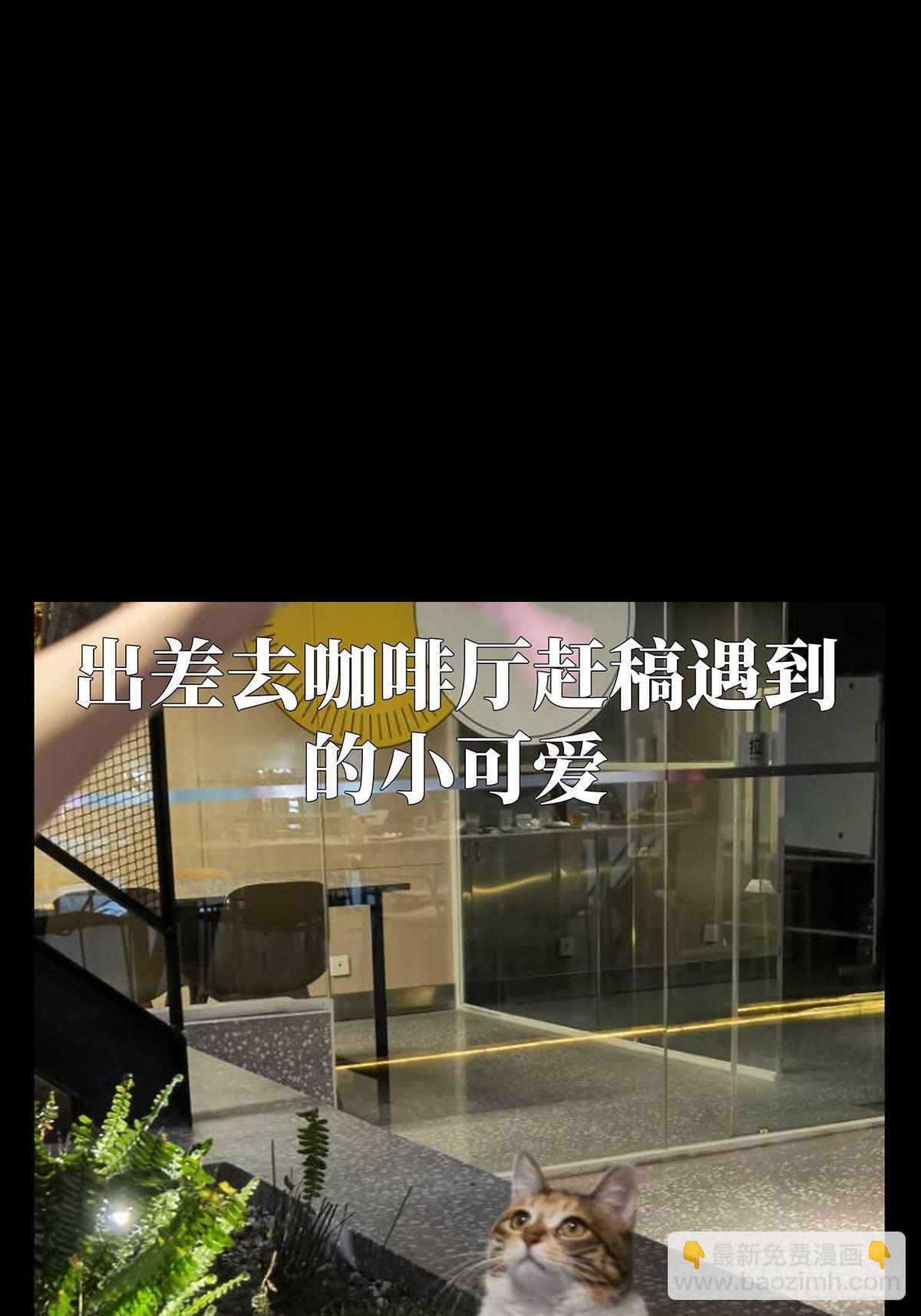 大象无形 - 第一百三十五章/任务中 - 2