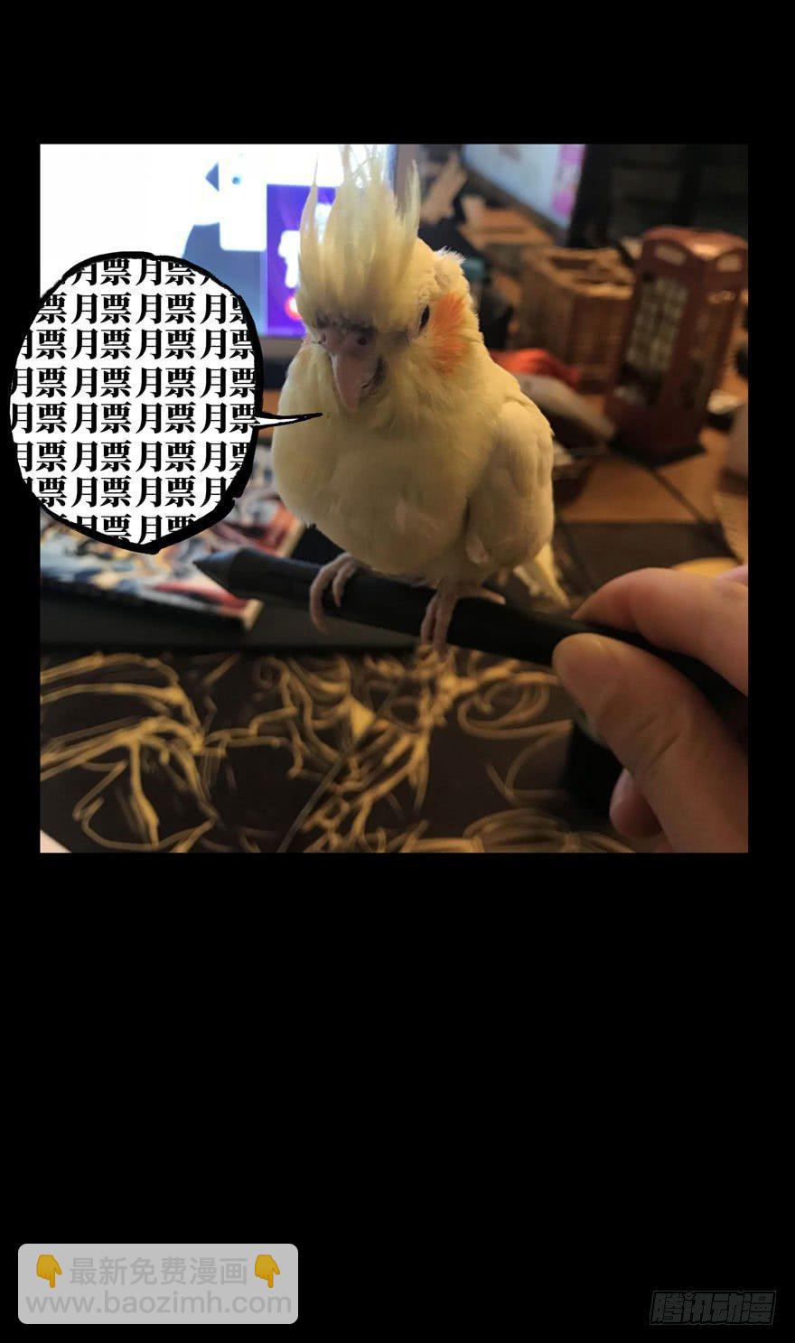 52.jpg