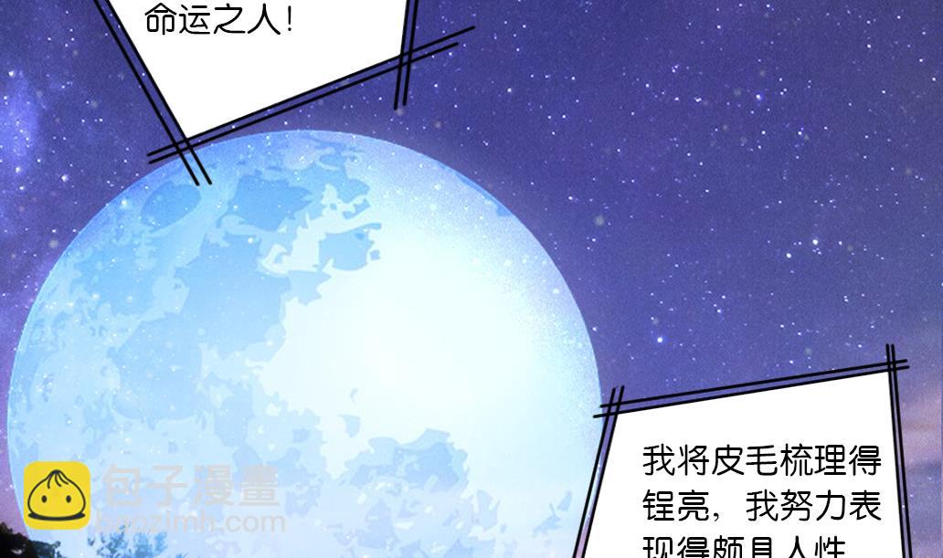 第29话 肉包的前世今生 2(1/2)-第29话