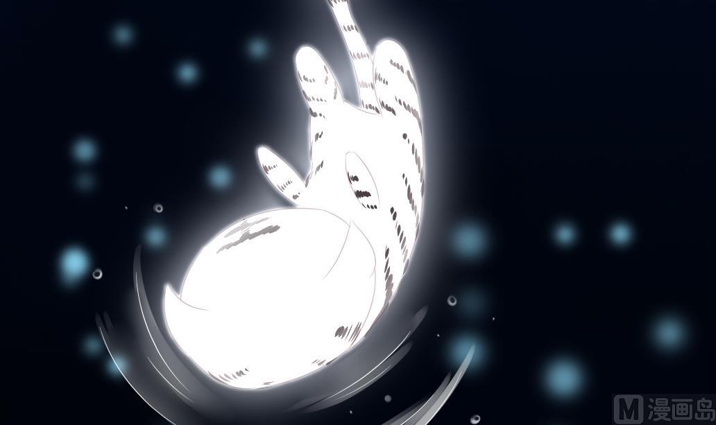 第29话 肉包的前世今生 2(1/2)-第29话