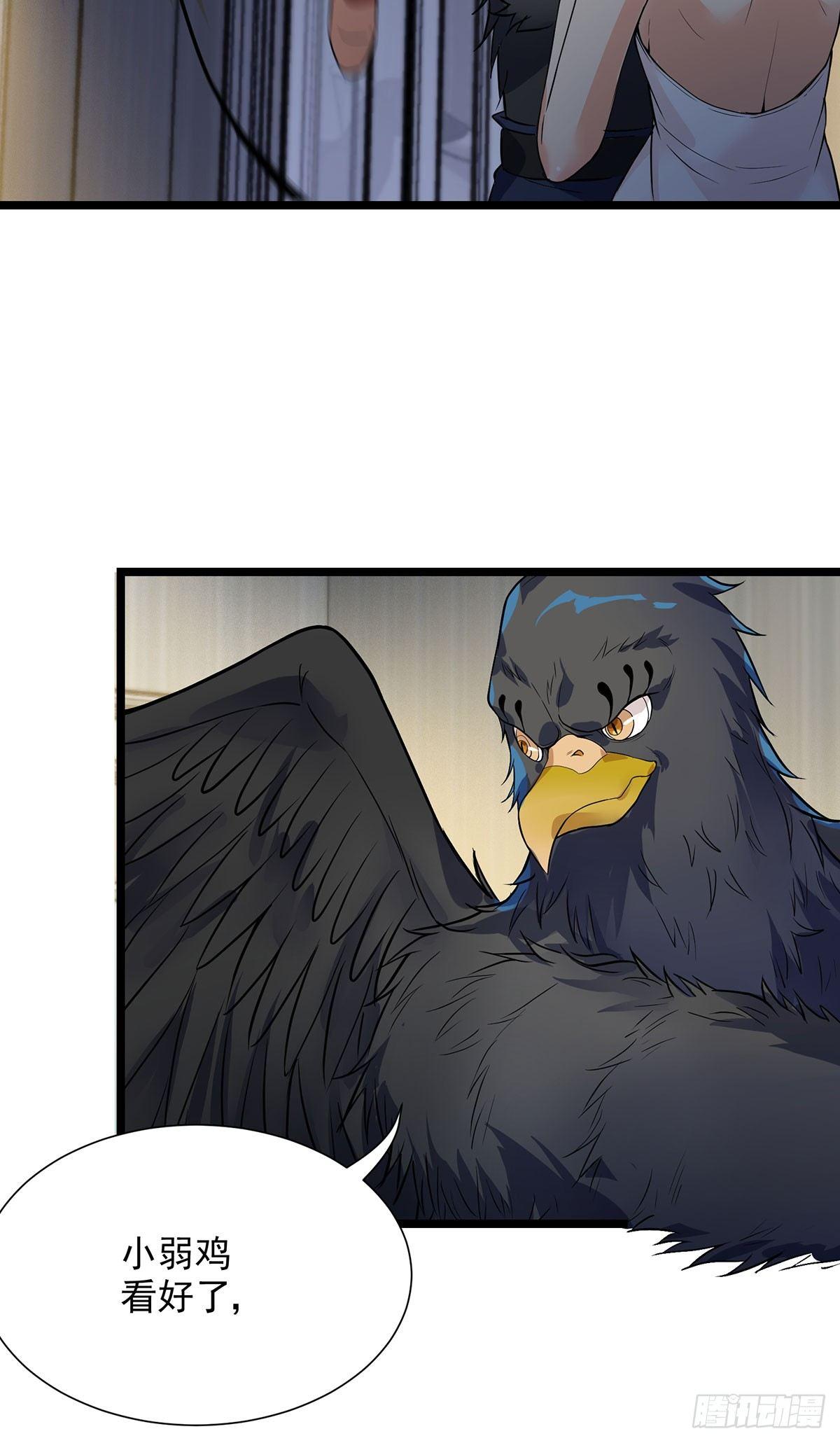 48-激斗！守护化身-第49话