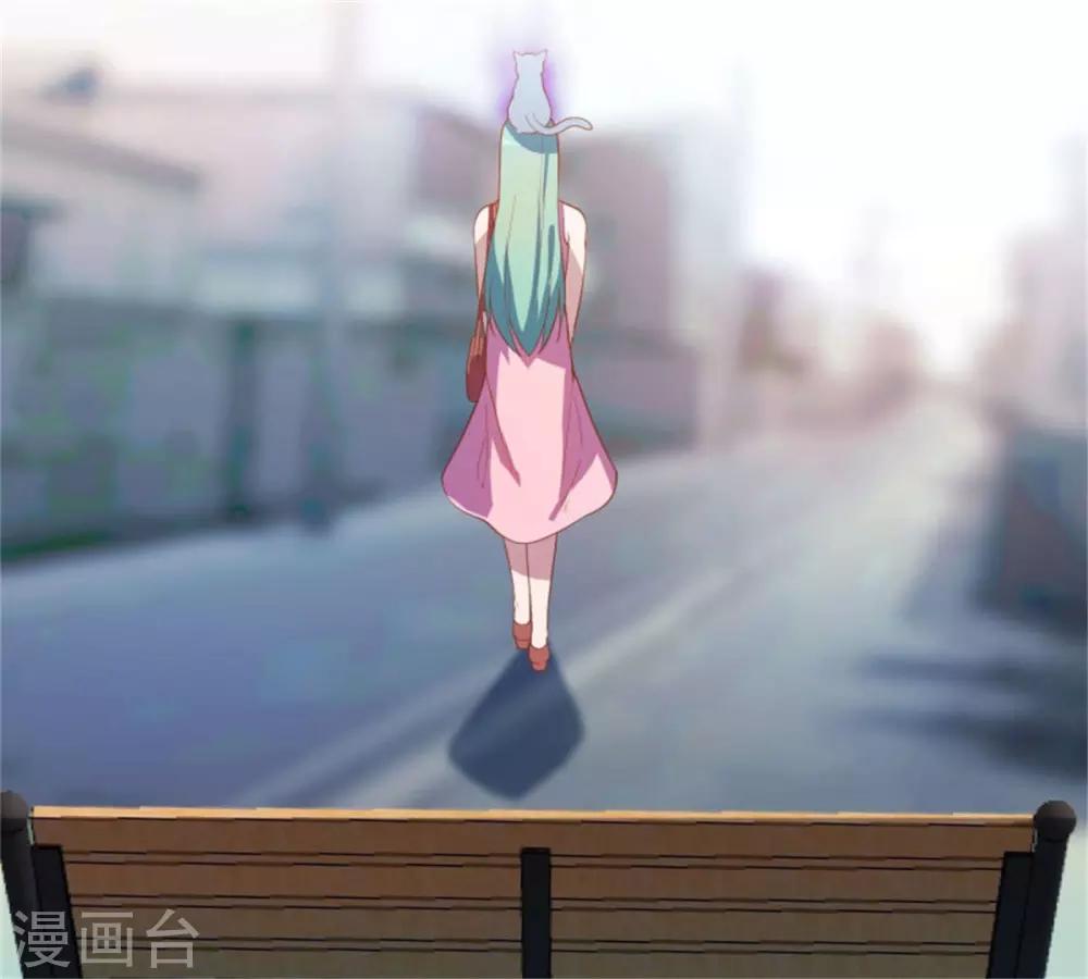 第24话 厄运猫咪-第25话