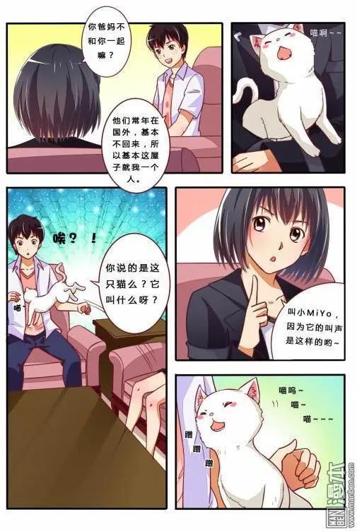 第12回 战队组起来-第13话