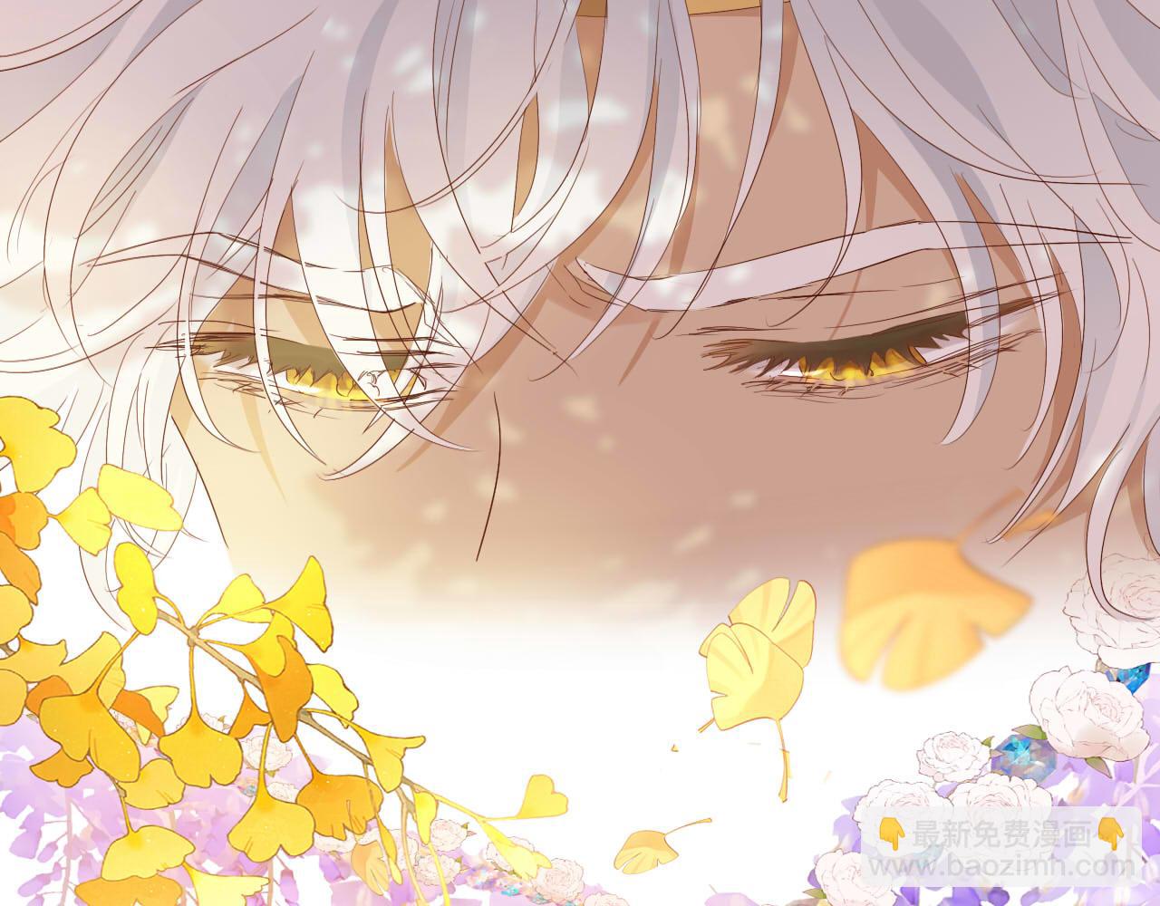 第179话 我们的秘密婚礼(1/3)-第183话