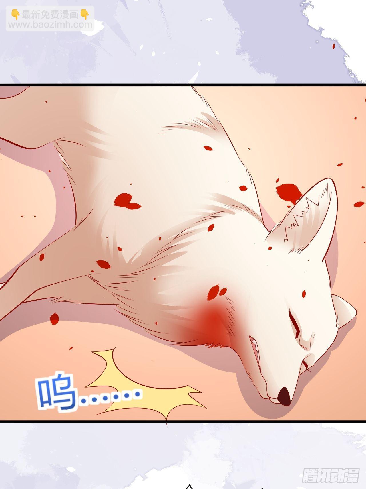 34 狐狼之争(1/2)-第35话