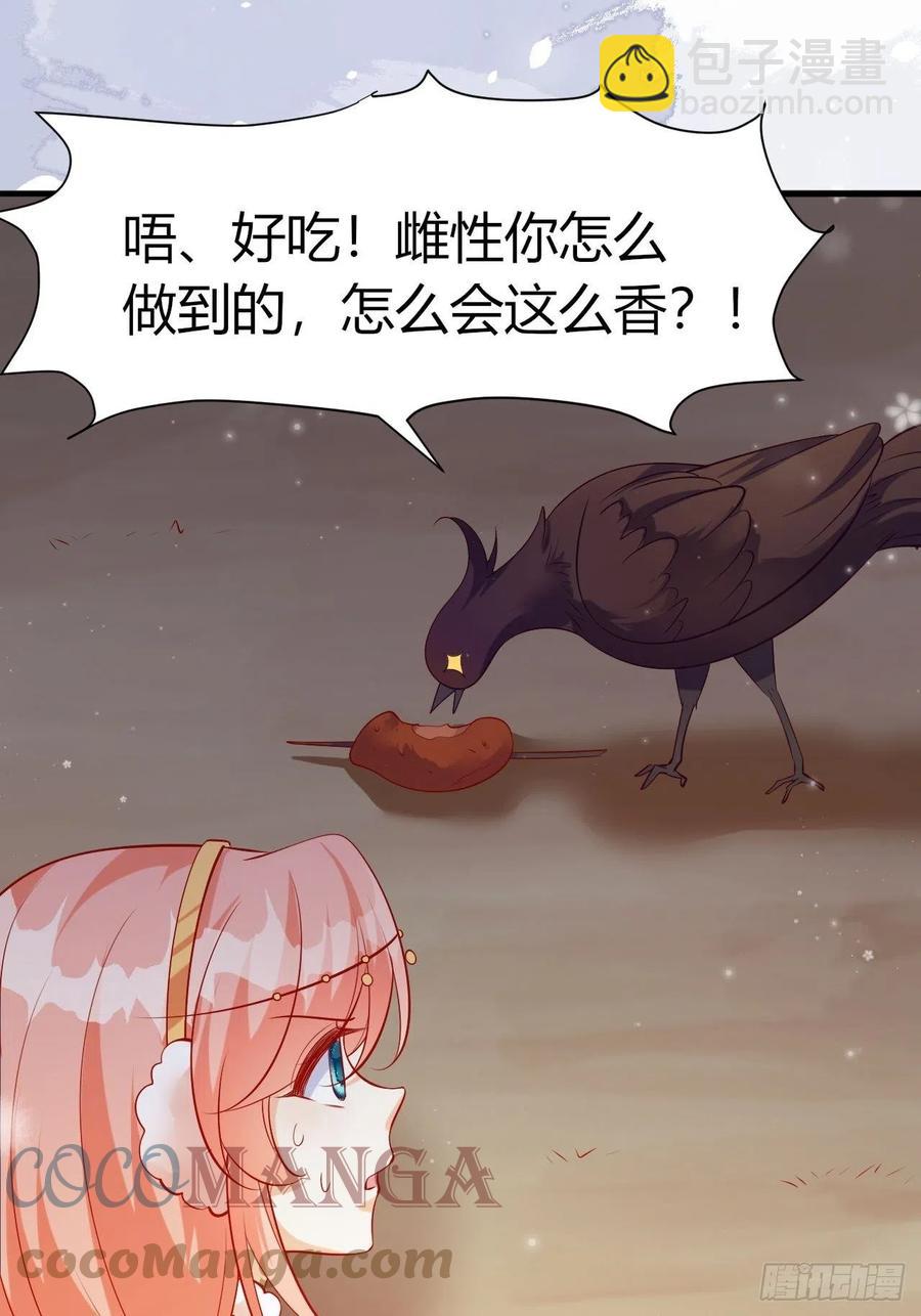 41 凤凰涅槃-第43话