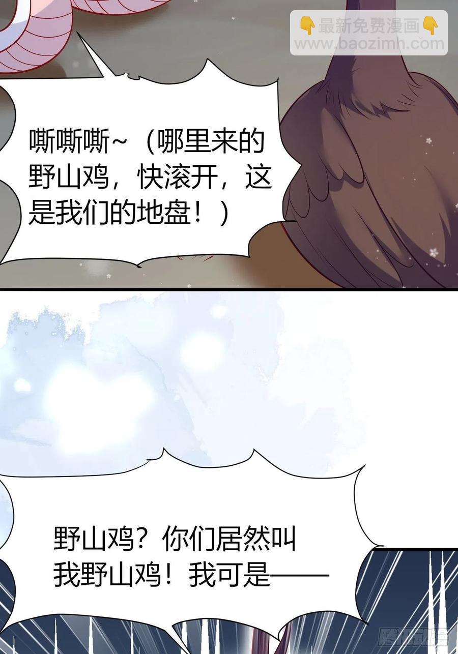 41 凤凰涅槃-第43话