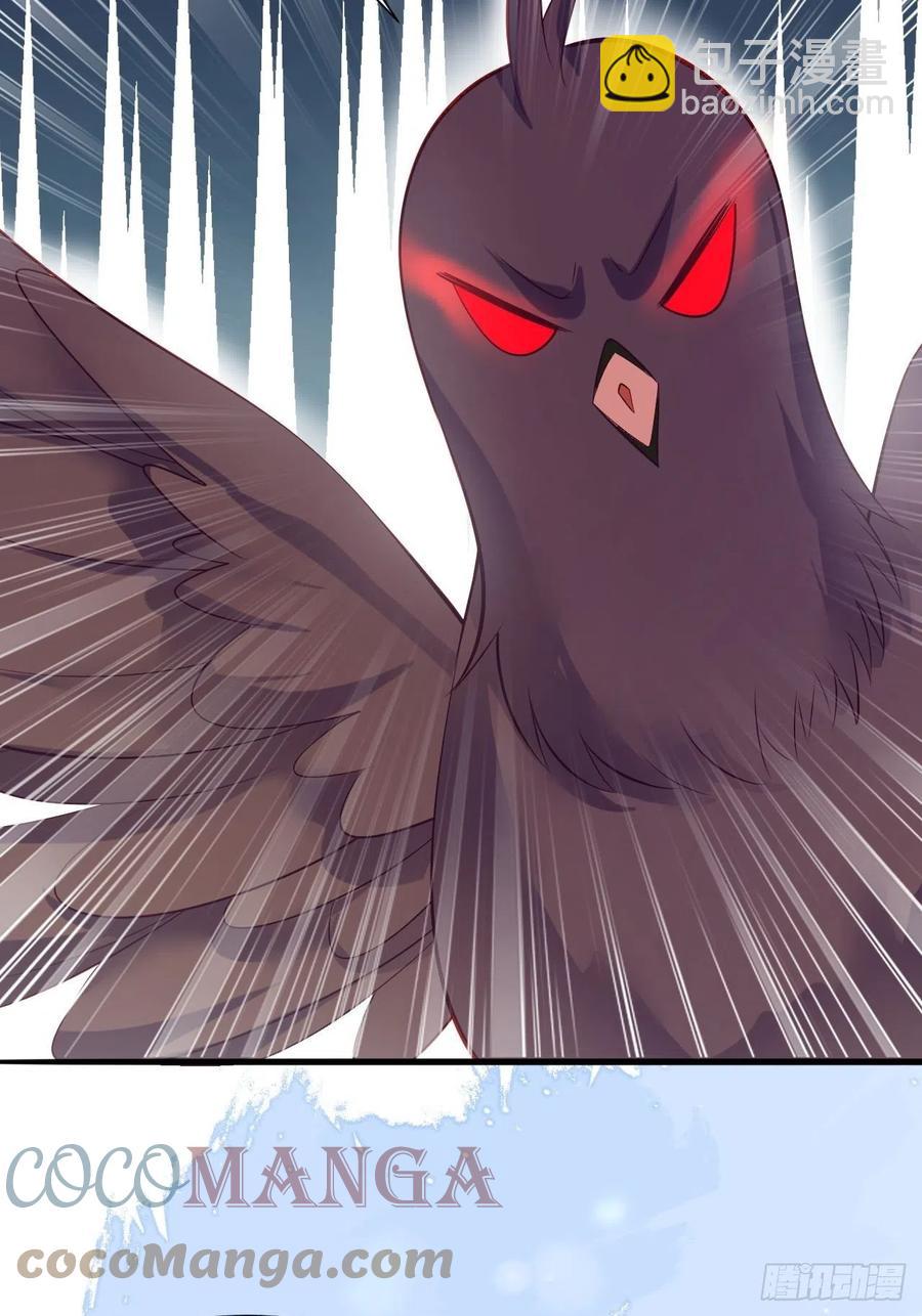 41 凤凰涅槃-第43话