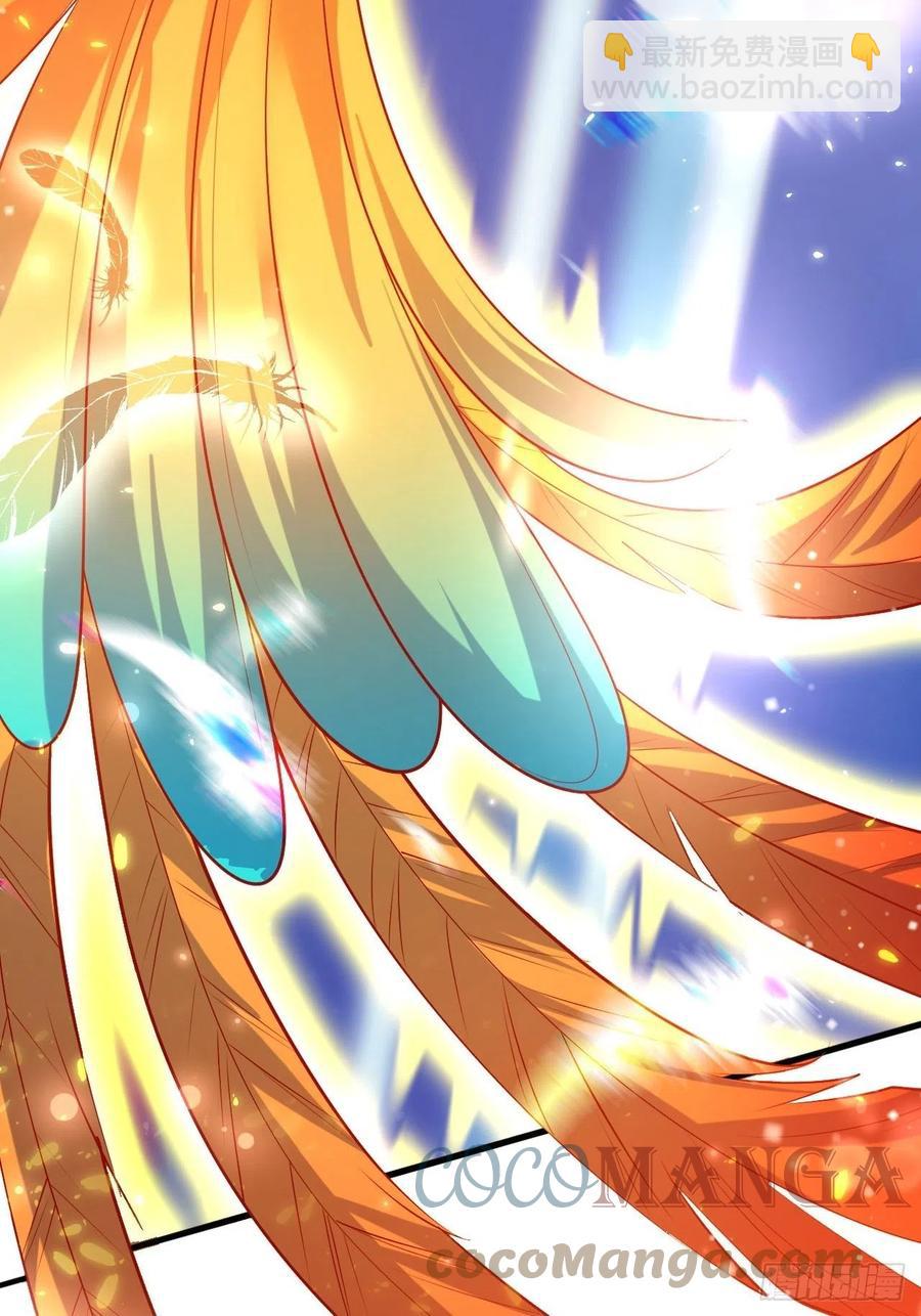 41 凤凰涅槃-第43话