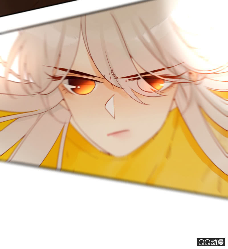 第25话  天道好轮回(1/3)-第25话