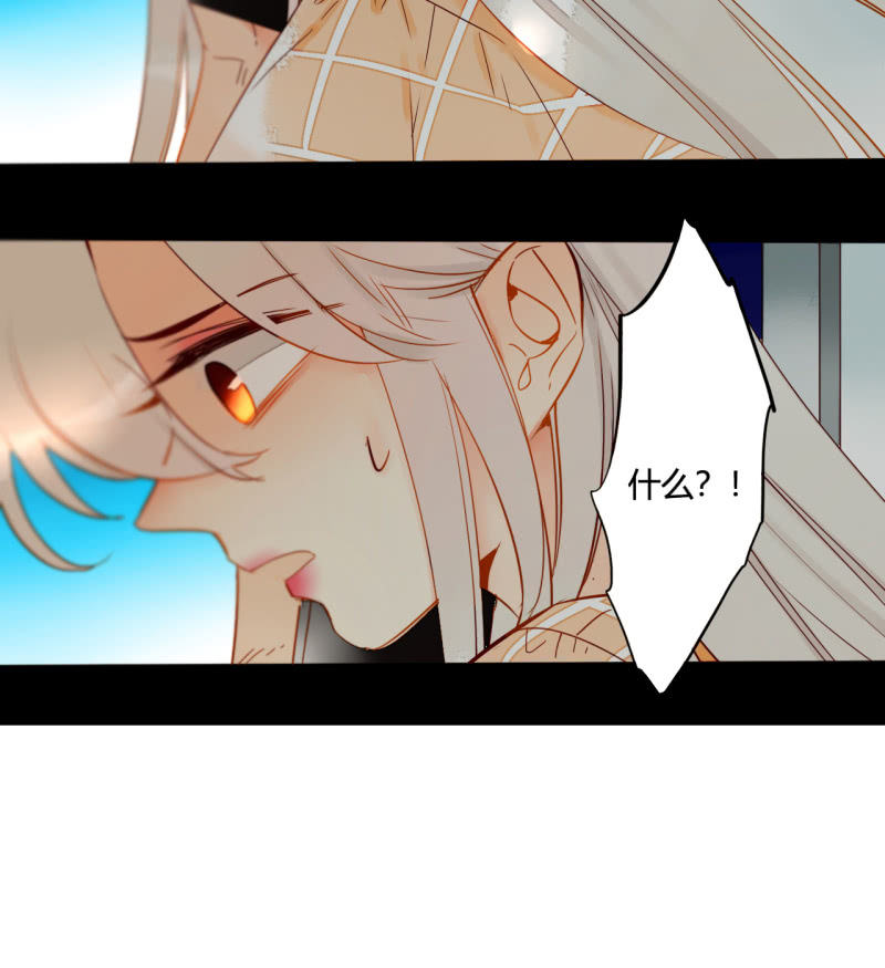 第41话  行走的千年内丹(1/2)-第41话