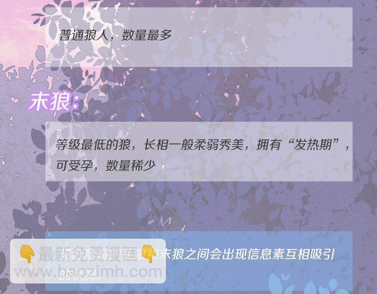 人物小档案-第1话