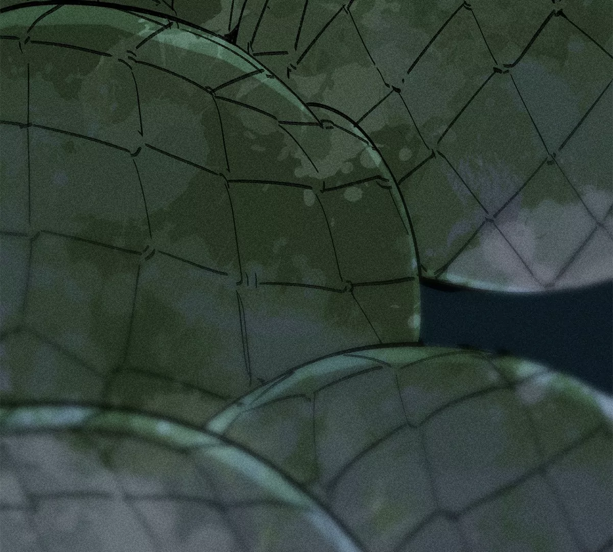 30回 人头菇惊现甬道，夏枯雪离奇消失(1/3)-第35话