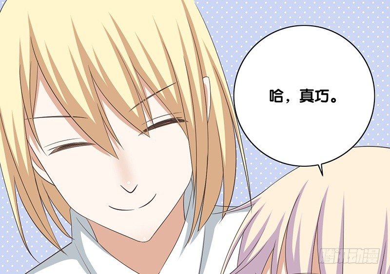 第42话 又见面了(1/2)-第43话