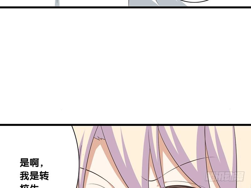 第42话 又见面了(1/2)-第43话