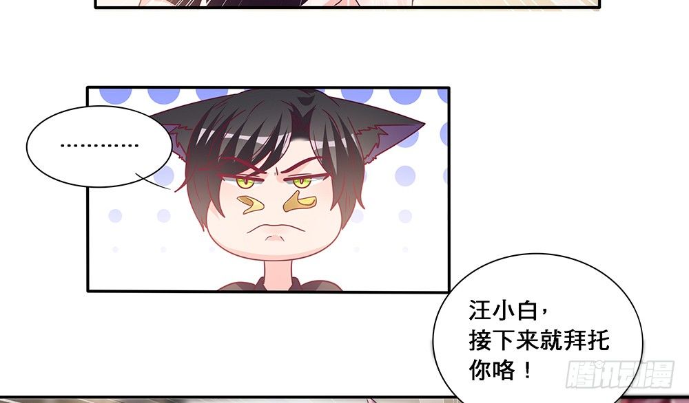 心事难测(1/2)-第13话