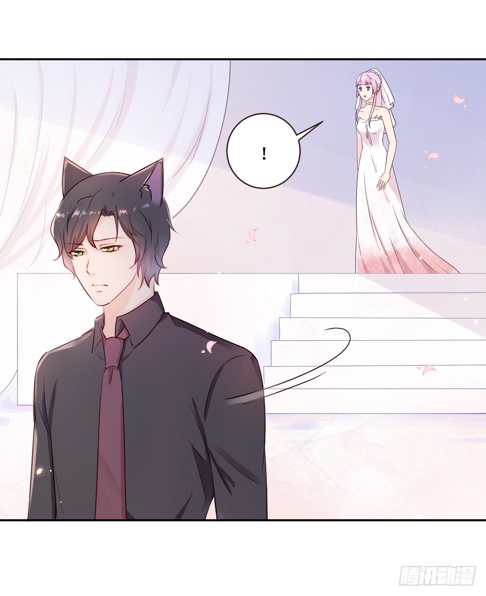 喵小黑的过去-第23话